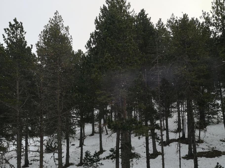 Apartamento A 200 Metros De Port Del Comte Ski La Coma I La Pedra Bagian luar foto